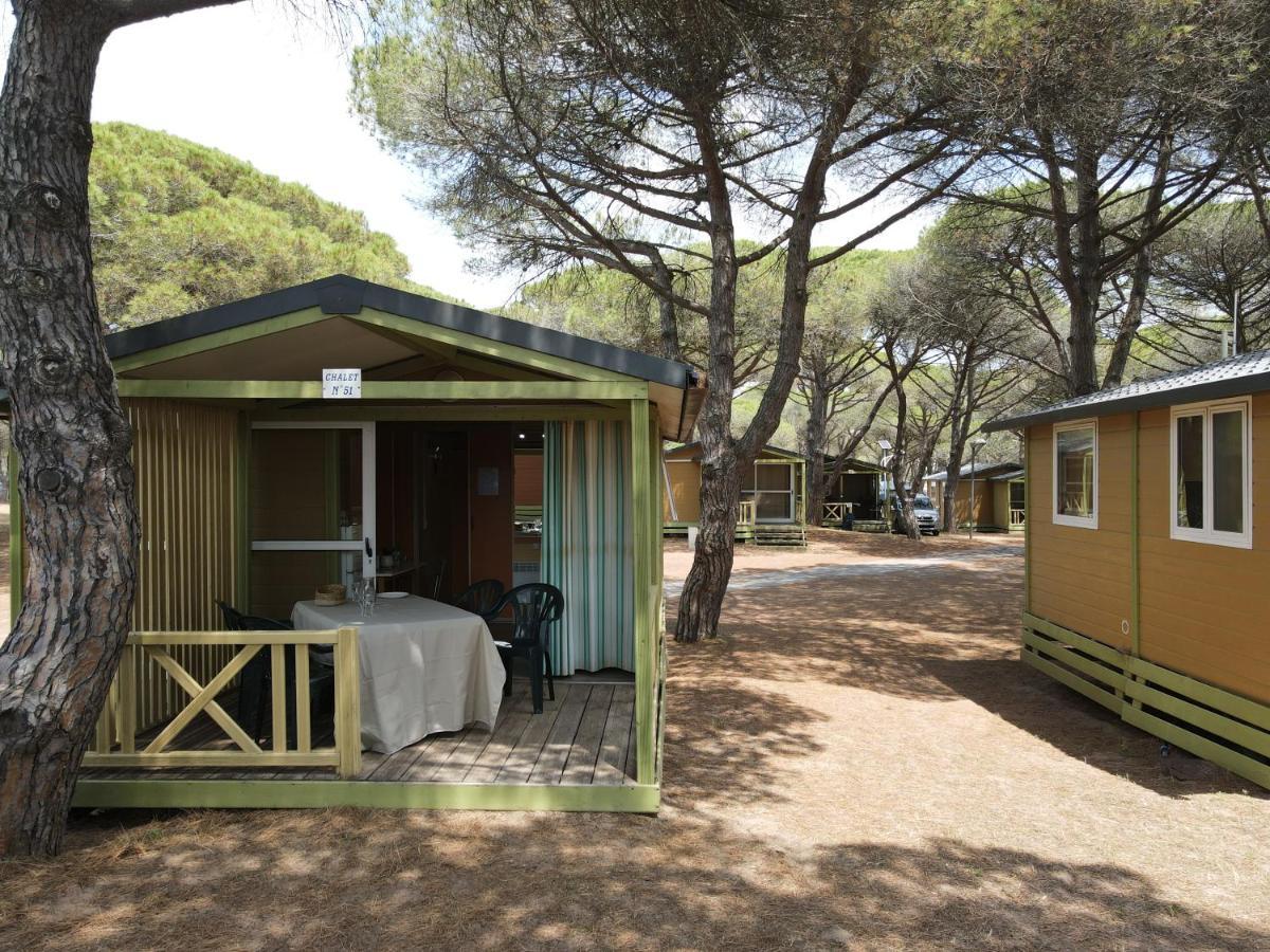 Campsite La Tamarissiere *
