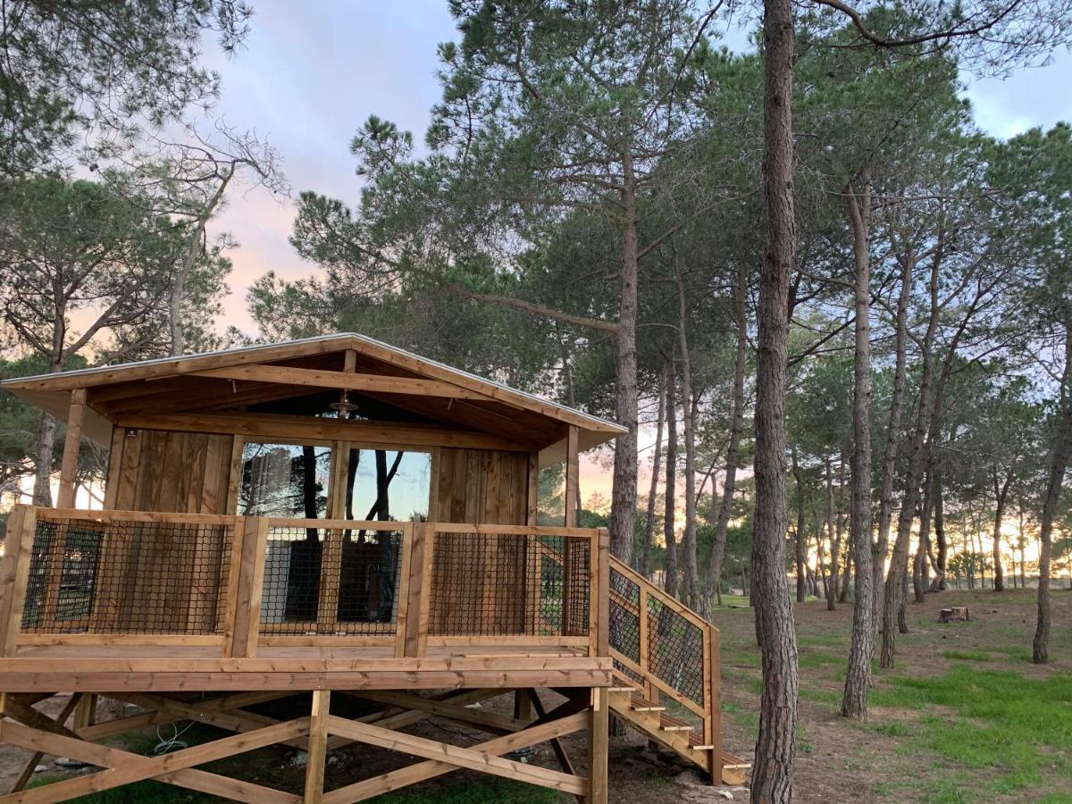 Camping La Tama *