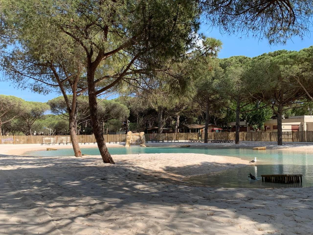 La Tamarissiere